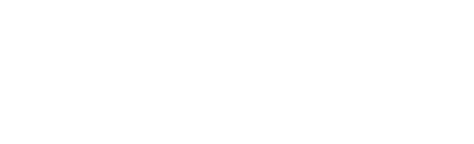 Skyvet