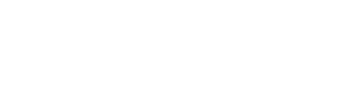 Skyvet